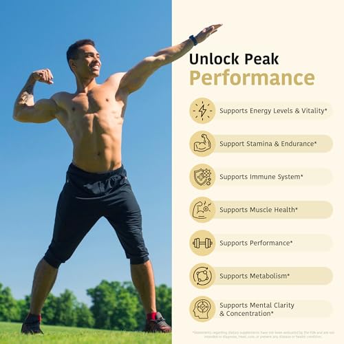 Beneficios del Shilajit puro vegano
