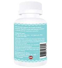 beneficios del soporte digestivo M.U