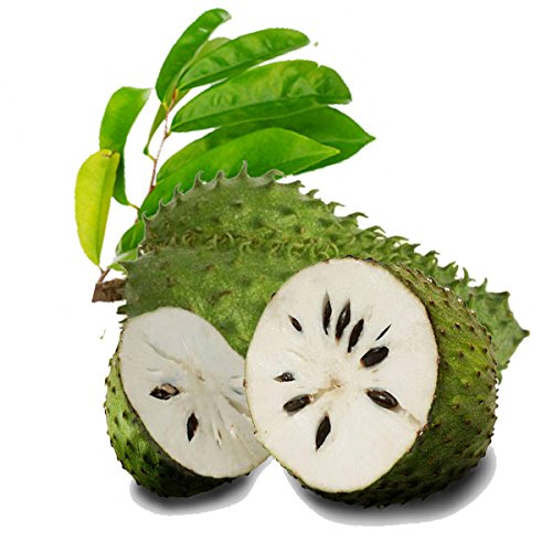 beneficios del té verde de Ceilán