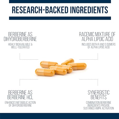 Beneficios inmunológicos del suplemento Dihidroberberina