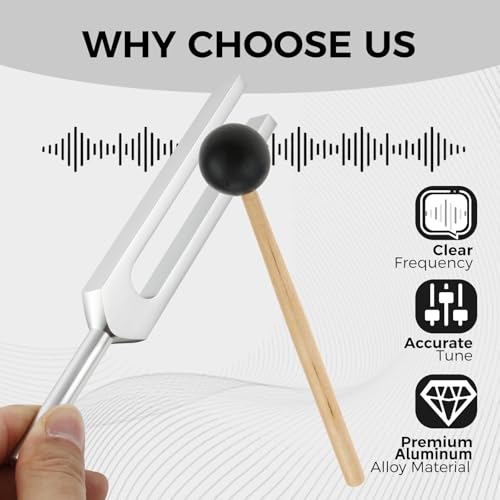Bolsa para guardar diapasones