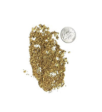Bolsa Premium de Paydirt Dorado 6 LBS
