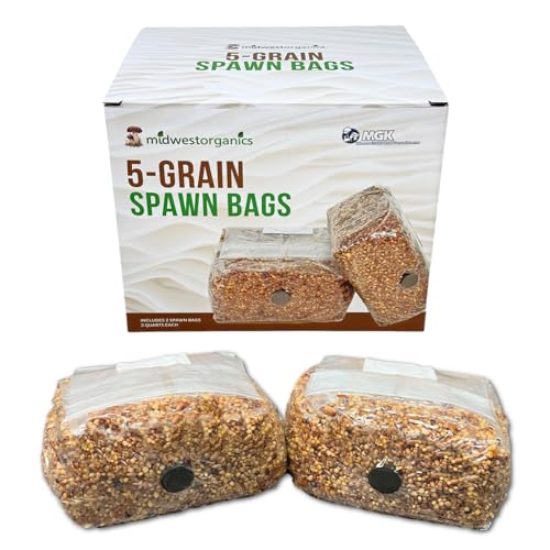 Bolsas de espora de champiñón premium