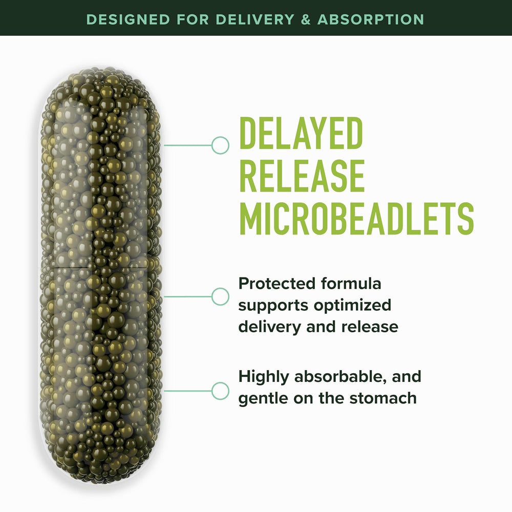 Broccoli Sprouts superalimentos verdes