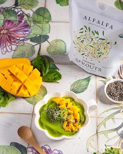 brotes de alfalfa frescos y nutritivos