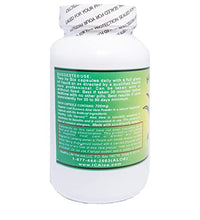 Cápsulas de 700mg de aloe