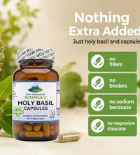 Cápsulas de albahaca para la energía