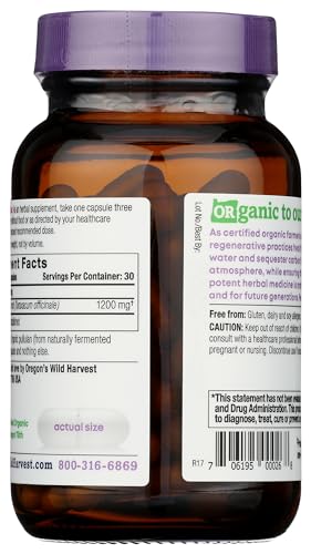 cápsulas de diente de león para salud