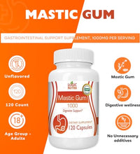 cápsulas de goma mástica 1000mg
