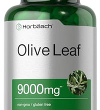 cápsulas de hoja de olivo Horbäach