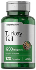 cápsulas de hongo cola de pavo beneficios para la salud