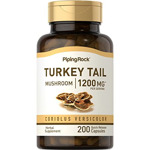 Cápsulas de Hongo Cola de Pavo