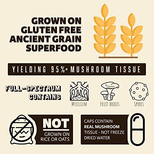 cápsulas de hongo cordyceps sin GMO
