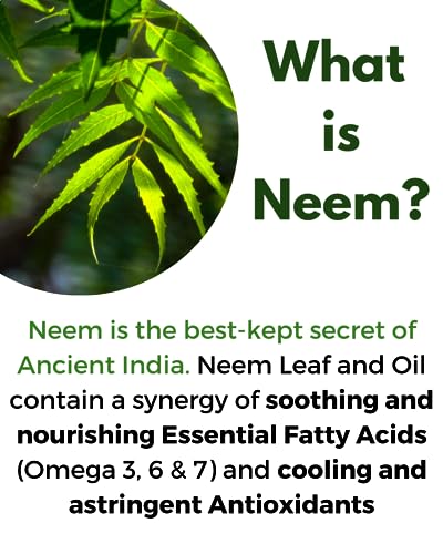 cápsulas de neem para salud integral