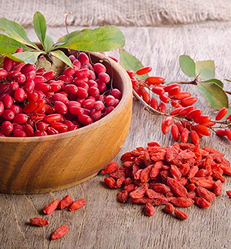 cápsulas de noni para energía