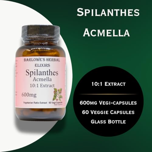 cápsulas de spilanthes acmella 600mg