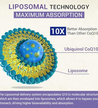 cápsulas de ubiquinol 800 mg