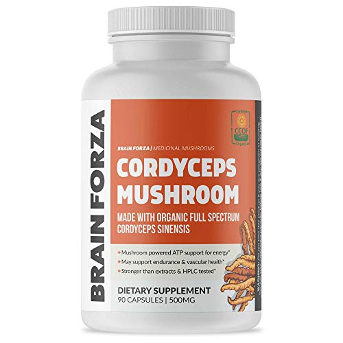 cápsulas orgánicas de cordyceps beneficios para la salud