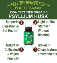 Cáscara de psyllium 120 cápsulas