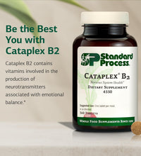 Cataplex B2 vitaminas Standard Process