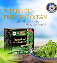 Caviar verde umibudo para ensaladas