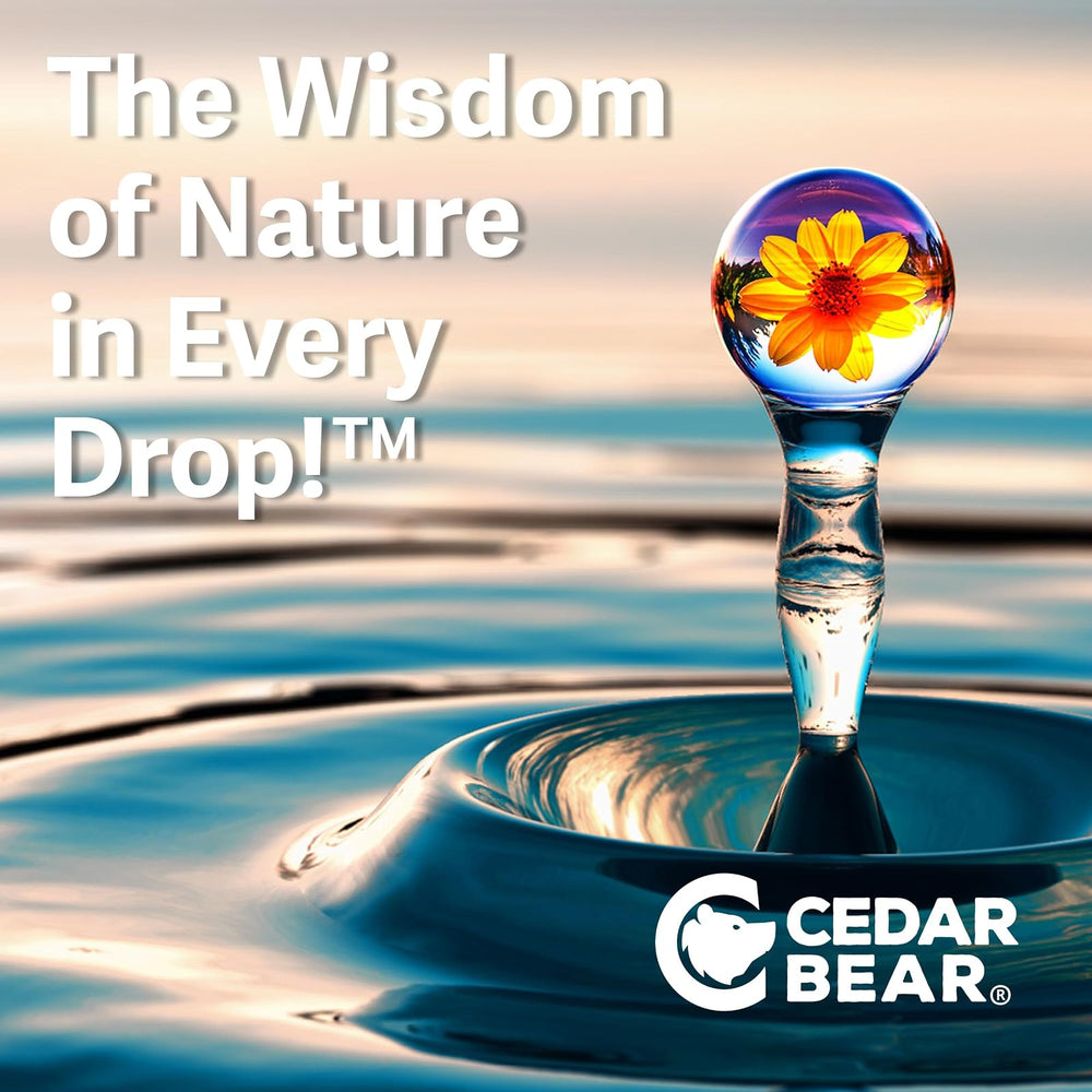 Cedar Bear hierbas y botánicos