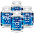 células madre vitamisan regeneración celular
