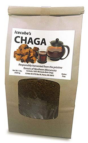 Chaga silvestre de Minnesota en polvo
