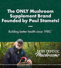 champiñón chaga para salud inmune