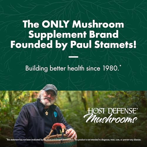 champiñón chaga para salud inmune