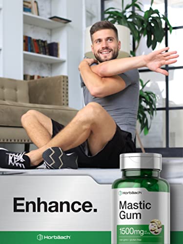 Chicle de mástic para bienestar intestinal