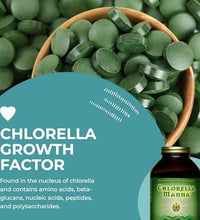 Chlorella Manna para detoxificación