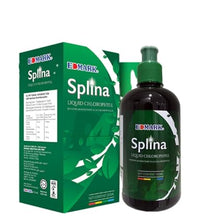 clorofila líquida para energía natural