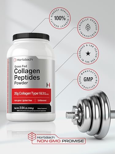 Colágeno sin OGM para bienestar