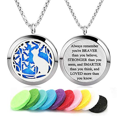 collar difusor de aceites esenciales gato