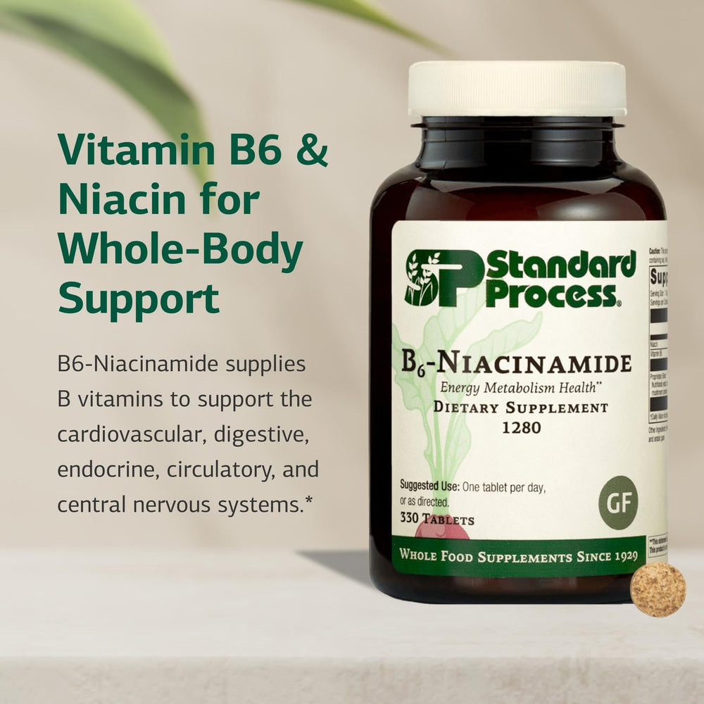 Complejo B 330 tabletas Standard Process