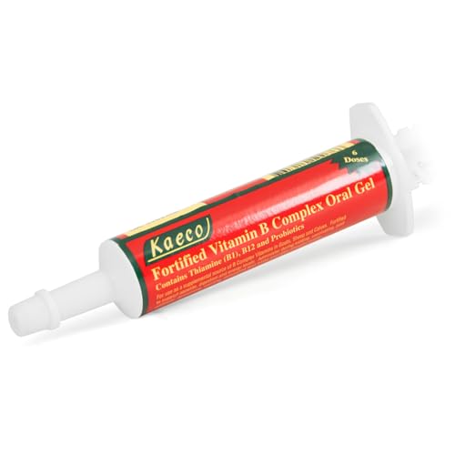complejo vitamina B para bienestar general