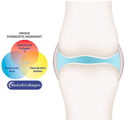complemento alimenticio para movilidad articular
