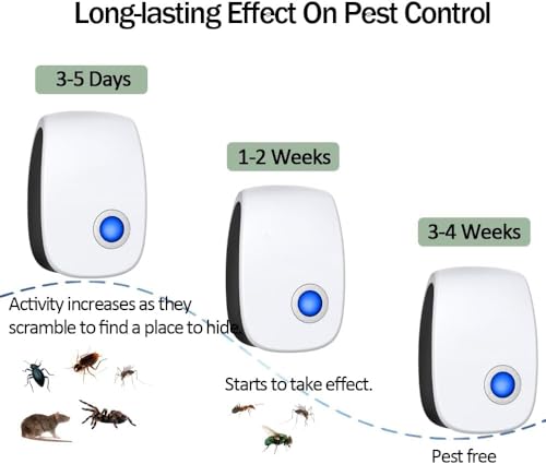 control de ratones y cucarachas eficaz