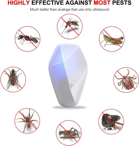 control de roedores en interiores