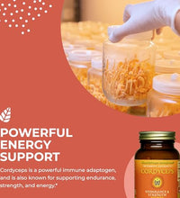 cordyceps para mejorar el rendimiento