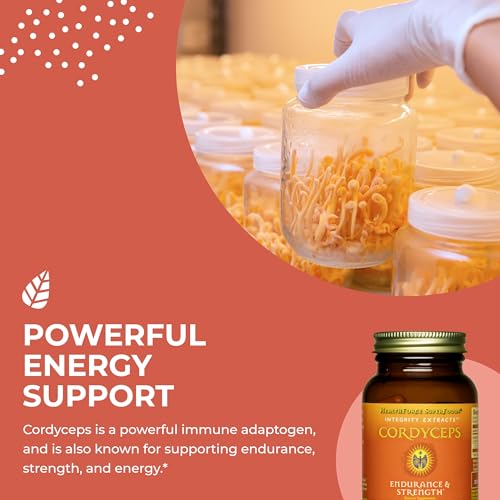 cordyceps para mejorar el rendimiento