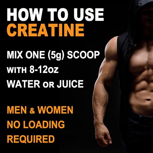 creatina en polvo ideal para entrenamiento