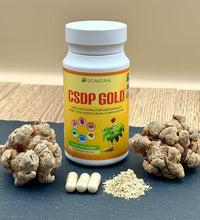 CSDP Gold ginseng para el sistema circulatorio