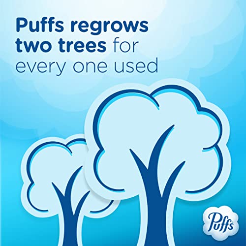 cuidado facial con Puffs Plus Lotion