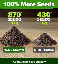 cultiva menta sin GMO en casa