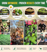 cultiva tu propio jardín de hierbas