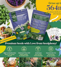 cultiva tus propias hierbas en casa