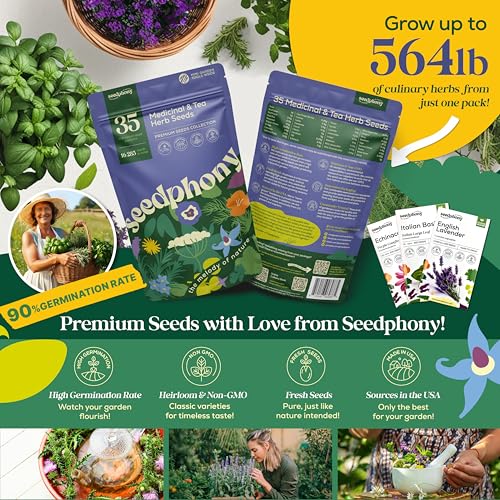 cultiva tus propias hierbas en casa