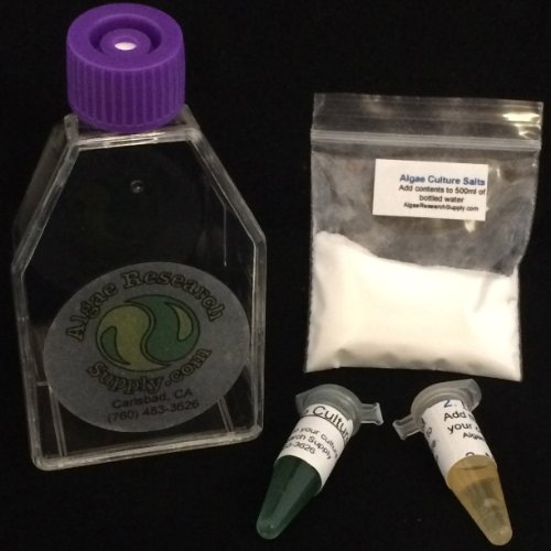 cultivo de spirulina para aprender sobre biología